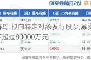 报喜鸟:拟向特定对象发行股票,募资金额不超过80000万元