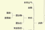 市场行为分析：如何理解市场中的散户投资者行为