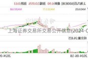 上海证券交易所交易公开信息(2024-09-09)