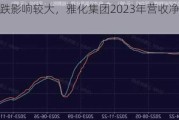 锂盐价跌影响较大，雅化集团2023年营收净利润双降