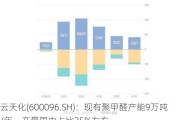 云天化(600096.SH)：现有聚甲醛产能9万吨/年，产量国内占比25%左右