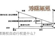 股票期权自动行权是什么？