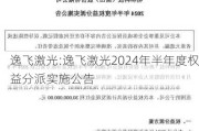 逸飞激光:逸飞激光2024年半年度权益分派实施公告