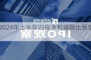 达瑞电子2024年上半年归母净利润同比预增429.76%至532.29%