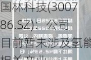 国林科技(300786.SZ)：公司目前暂未涉及氢能源相关产业