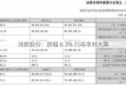 润都股份：跌幅 6.3% 归母净利大降