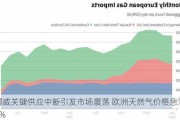 挪威关键供应中断引发市场震荡 欧洲天然气价格急涨6%