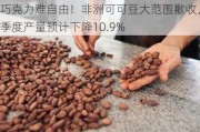 巧克力难自由！非洲可可豆大范围歉收，季度产量预计下降10.9%