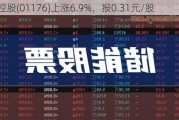 珠光控股(01176)上涨6.9%，报0.31元/股