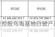 宁夏金晶、中玻控股乌海基地白玻产品计划 6 月 5 日上调 1 元/重箱