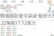 特海国际盘中异动 股价大涨5.22%报17.12美元