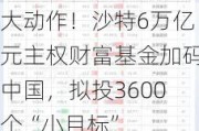 大动作！沙特6万亿元主权财富基金加码中国，拟投3600个“小目标”