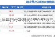 新华联：上半年归母净利润4850.87万元，同比扭亏