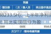 神工股份(688233.SH)：上半年净利润预盈200万元至400万元 同比实现扭亏为盈