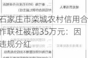 石家庄市栾城农村信用合作联社被罚35万元：因违规分红