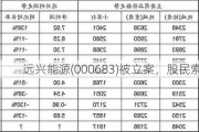 远兴能源(000683)被立案，股民索赔分析