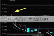 3000点关口，大资金抄底！