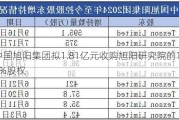 中国旭阳集团拟1.81亿元收购旭阳研究院的100%股权