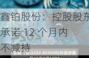 鑫铂股份：控股股东承诺 12 个月内不减持