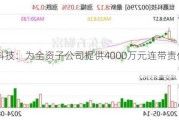 世嘉科技：为全资子公司提供4000万元连带责任担保