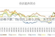 鸡蛋价格下跌：09 合约上涨 0.20%，关注后市走势