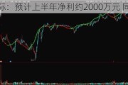 郴电国际：预计上半年净利约2000万元 同比扭亏