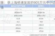 三湘印象：获上海杨浦发放的905万元中小企业发展专项资金