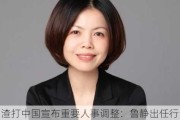 渣打中国宣布重要人事调整：鲁静出任行长、总裁及副董事长