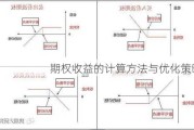 期权收益的计算方法与优化策略