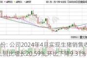 华统股份: 公司2024年4月实现生猪销售收入3.65亿元,同比增长20.59%,环比下降9.31%