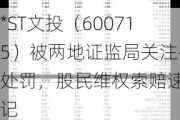 *ST文投（600715）被两地证监局关注并处罚，股民***索赔速登记