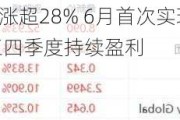 能链智电一度大涨超28% 6月首次实现单月经营侧净利润转正 目标三四季度持续盈利