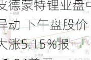 皮德蒙特锂业盘中异动 下午盘股价大涨5.15%报11.84美元