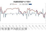 多方有承重 PTA跌后反弹