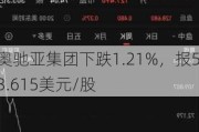 奥驰亚集团下跌1.21%，报53.615美元/股