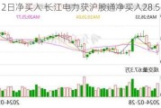 连续12日净买入 长江电力获沪股通净买入28.56亿元