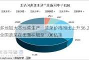 多地加大本地菜生产：蔬菜价格同比上升36.2%，全国蔬菜在田面积增至1.06亿亩