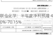 联合化学：半年度净利预增 41.60%-70.15%