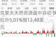 克里夫天然资源盘中异动 快速拉升5.01%报12.48美元