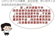 山外山:关于公司董事、副总经理、核心技术人员因酒驾受到刑事处罚的公告