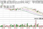 中国黄金国际(02099.HK)：甲玛铜金多金属矿恢复运营