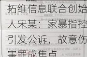 拓维信息联合创始人宋某：家暴指控引发公诉，故意伤害罪成焦点