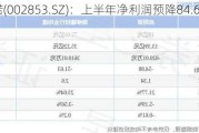 皮阿诺(002853.SZ)：上半年净利润预降84.68%-89.27%