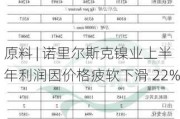 原料 | 诺里尔斯克镍业上半年利润因价格疲软下滑 22%