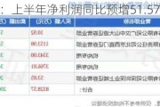 高争民爆：上半年净利润同比预增51.57%―84.91%