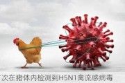 美国首次在猪体内检测到H5N1禽流感病毒