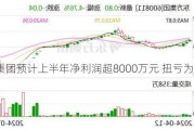 东方集团预计上半年净利润超8000万元 扭亏为盈