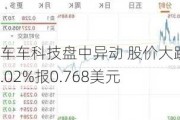 车车科技盘中异动 股价大跌5.02%报0.768美元