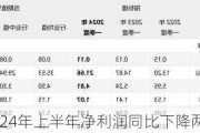 药明康德2024年上半年净利润同比下降两成