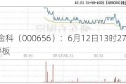 *ST金科（000656）：6月12日13时27分触及涨停板